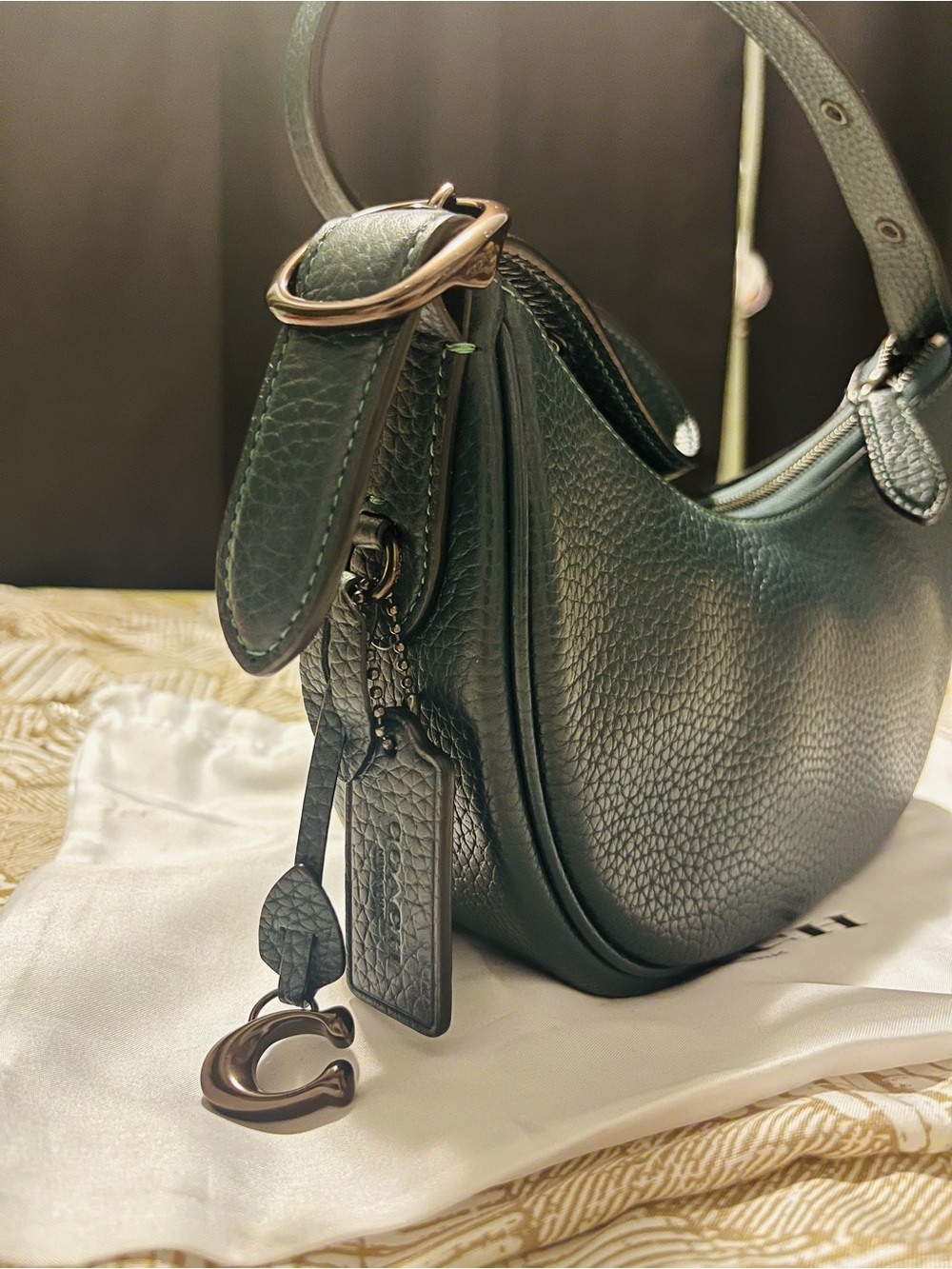 Coach Pebbled Crescent Shoulder Bag - Forest Green - Picture 7 of 10